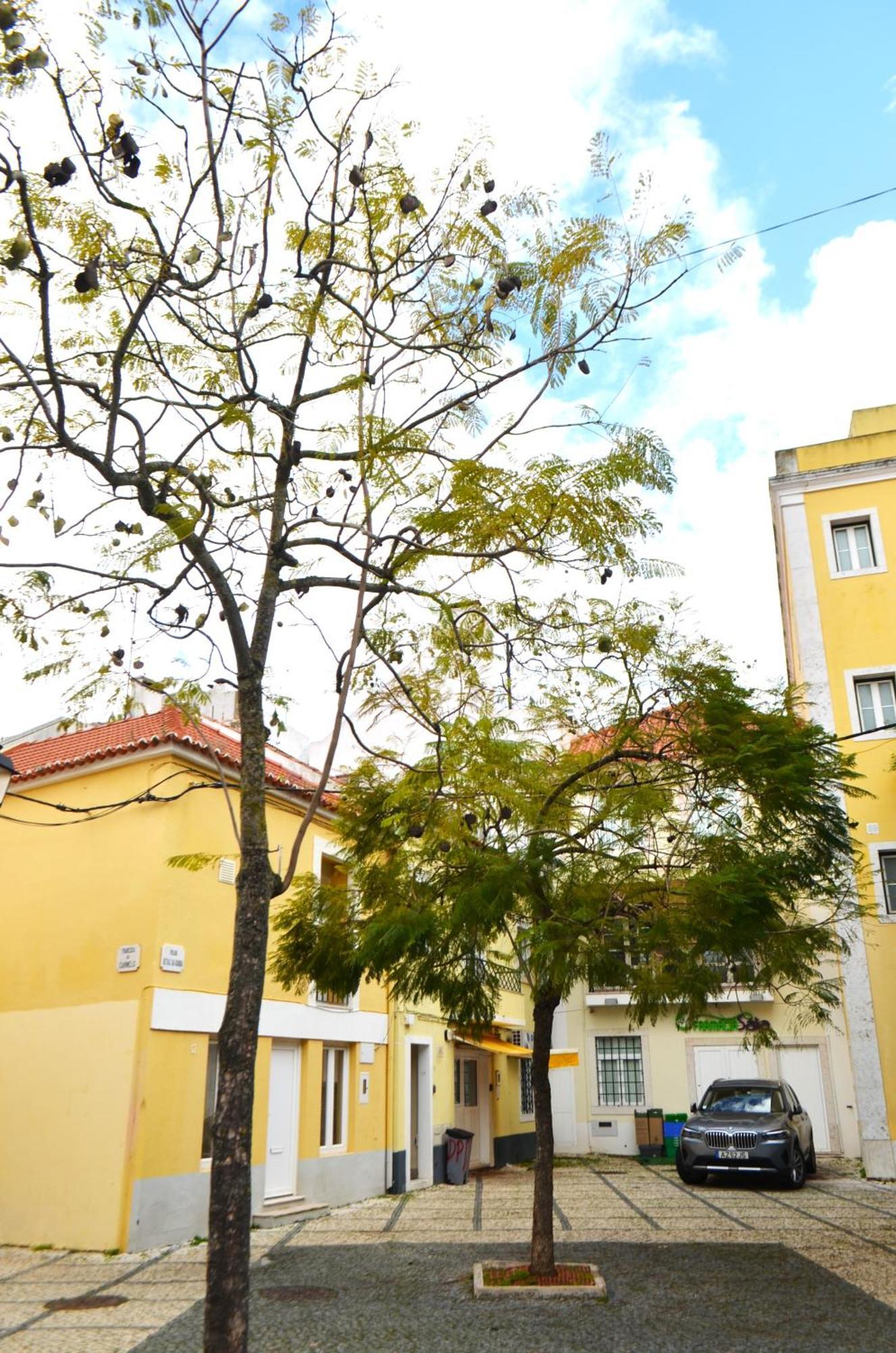 Rooms Dp Setubal Bagian luar foto